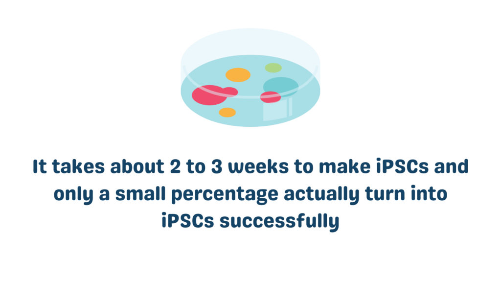 Making Ipscs What is an induced pluripotent stem cell?