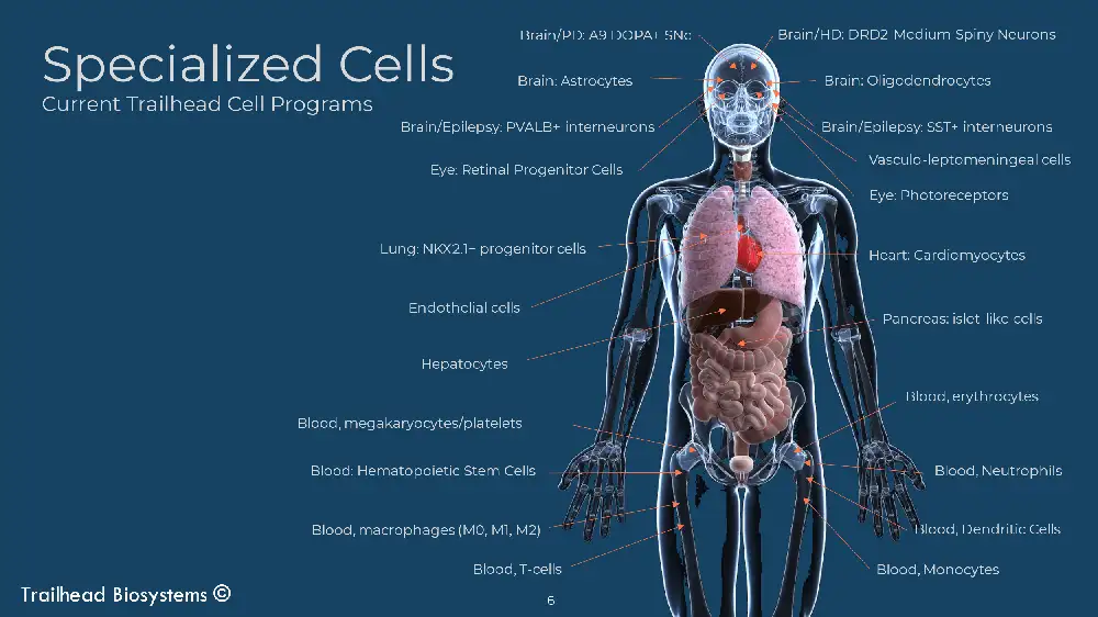 CEO Note: Specialized Cells