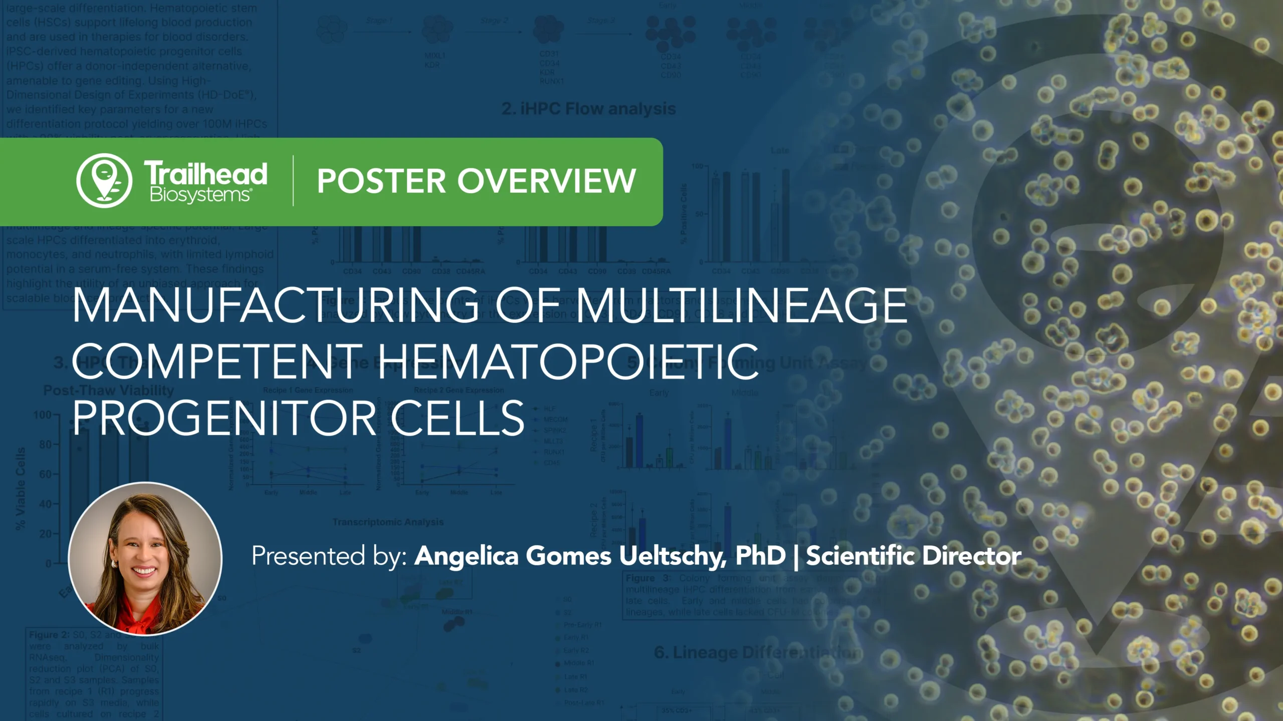Hematopoietic Progenitor Cells HPC Poster Video