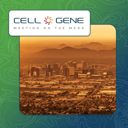 mesa meeting web icon