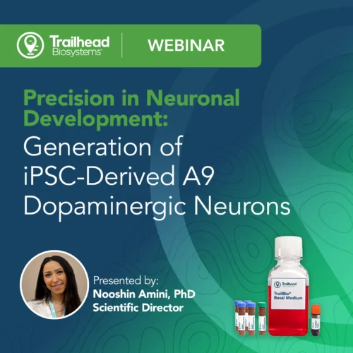 A9 Dopaminergic Neuron Webinar featured image