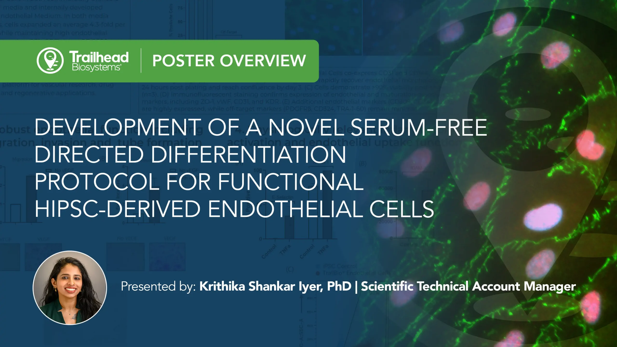 serum-free ipsc endothelial cells poster icon